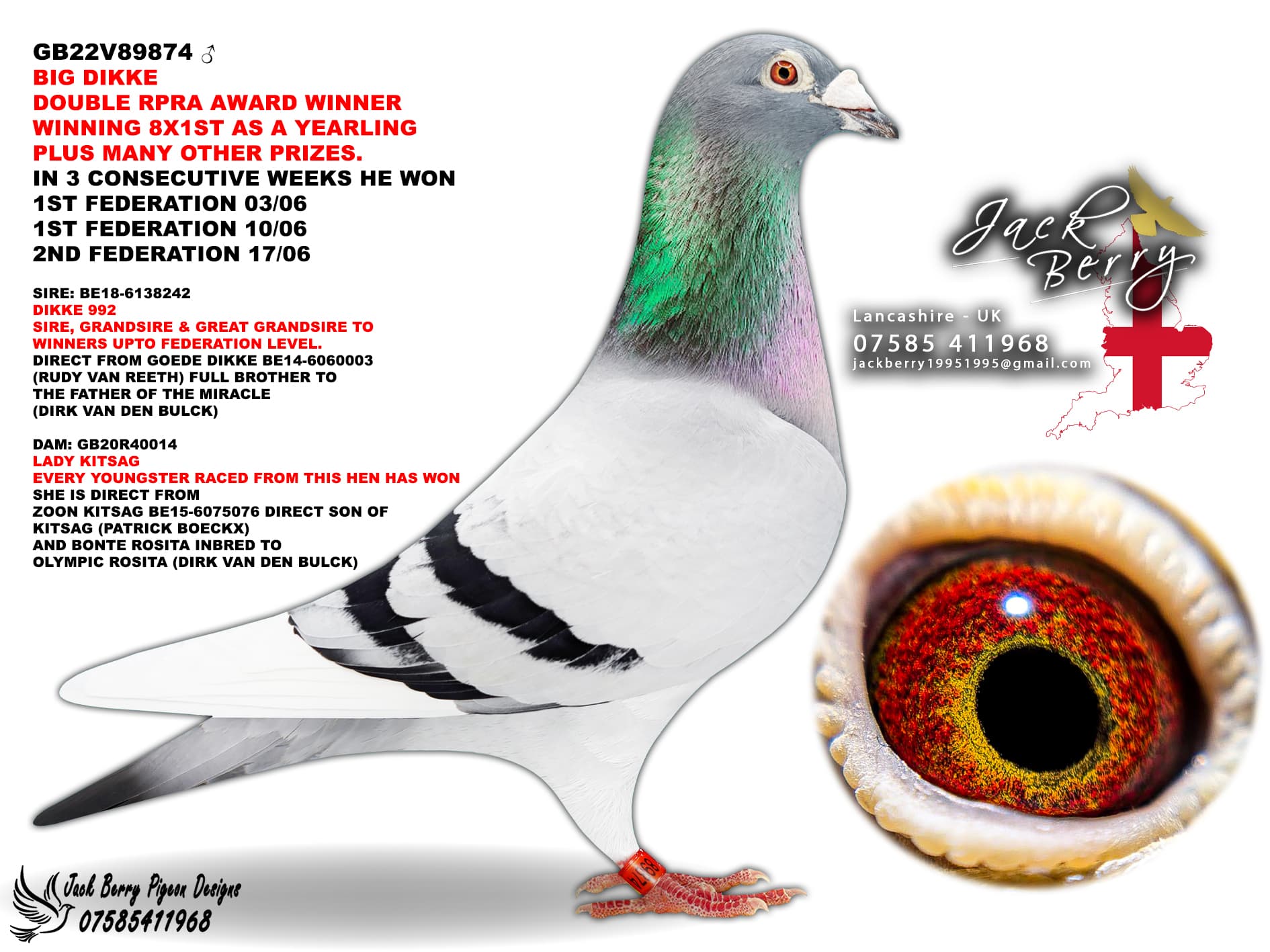 Jack Berry Racing Pigeons